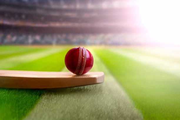 Tiger Exchange: Where Cricket’s Thrills Meet Winning Hunts on Betbhai9!