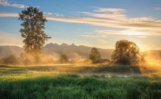 The Art of Wildlife Photography: Tips, Techniques, and Ethical Considerations for Capturing Nature’s Beauty