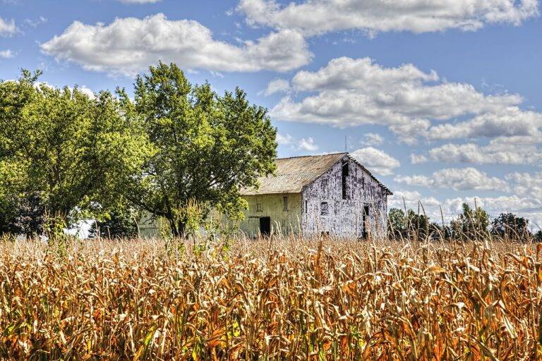 Authentic Period Landscaping for Restoration Projects