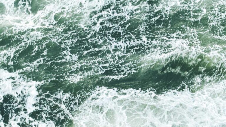 What Is The Purpose Of The 99Exch Com M Page?